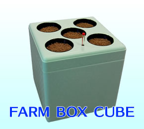 FARM BOX CUBE